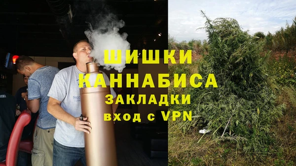 ешки Аркадак